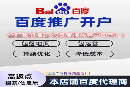 SEM托管服务案例：优化策略与效果展示